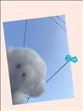 お天気、晴れ??.°
