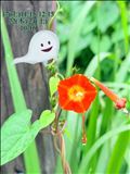 シフトお知らせ
