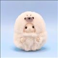 おやすみ