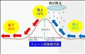 合言葉