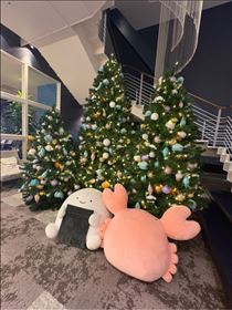 さやか・すみっこ…じゃ無い