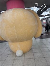 さやか・後ろから