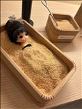 トレーニング