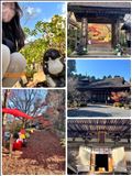 ひこにゃんと一緒♡滋賀と京都の旅❺