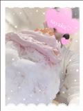 春うらら