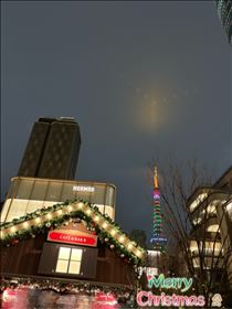 さやか・クリスマスカラー