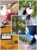 旅の思ひ出