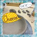 コイのはずだったのに