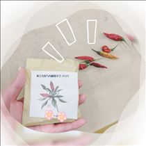 さやか・新宿名物