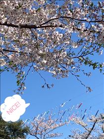 さやか・ぽかぽか