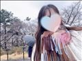 お花見散歩