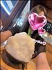 福島で食べたかき氷