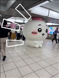 明日のご案内