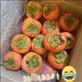 大豊作
