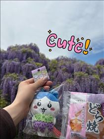 さやか・美しい　美味しい