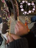 バナナも林檎も