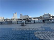さやか・暑くて強風で花粉で人もいっぱい