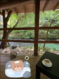 温泉効果