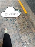 びっしょり