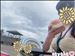 明日から