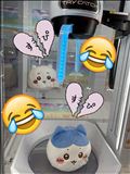 諦めました