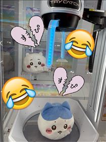 さやか・諦めました