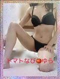 秋らしい