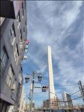 昨日のお礼