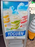 絶対コレ！