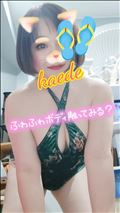 募集を開始しています