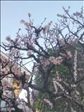 ご迷惑おかけしてます
