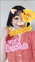 やほほーい