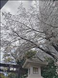 【再掲】今週の出勤の大切なこと
