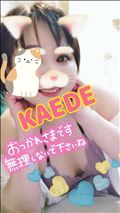 おやすみ