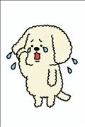 明日ごめんなさい