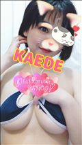 おやすみです