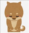 申し訳ありません