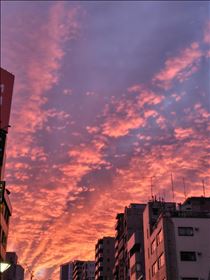 かえで・おはようございます