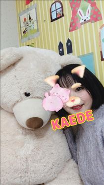 かえで・お休みです