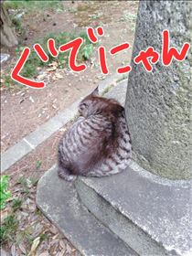 かえで・ぐでにゃん