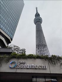 かえで・シルバーの巨塔さん