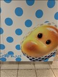 いやぁ～、感無量