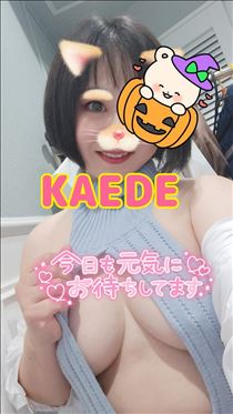 かえで・到着！まだまだご案内可能だよ！