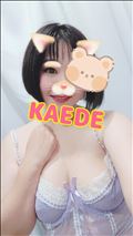 受付終了しました