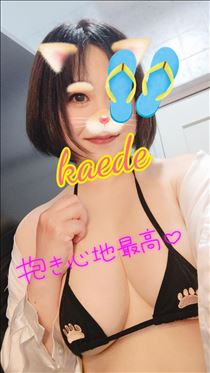 到着しました！