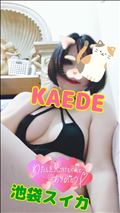 どっちがお好き？