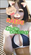 到着しましたよーん
