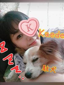 かえで・ワンワンワンワンの日