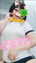 ムチムチ体操着