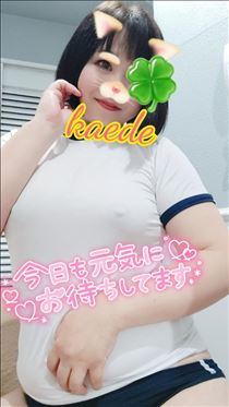 かえで・ムチムチ体操着